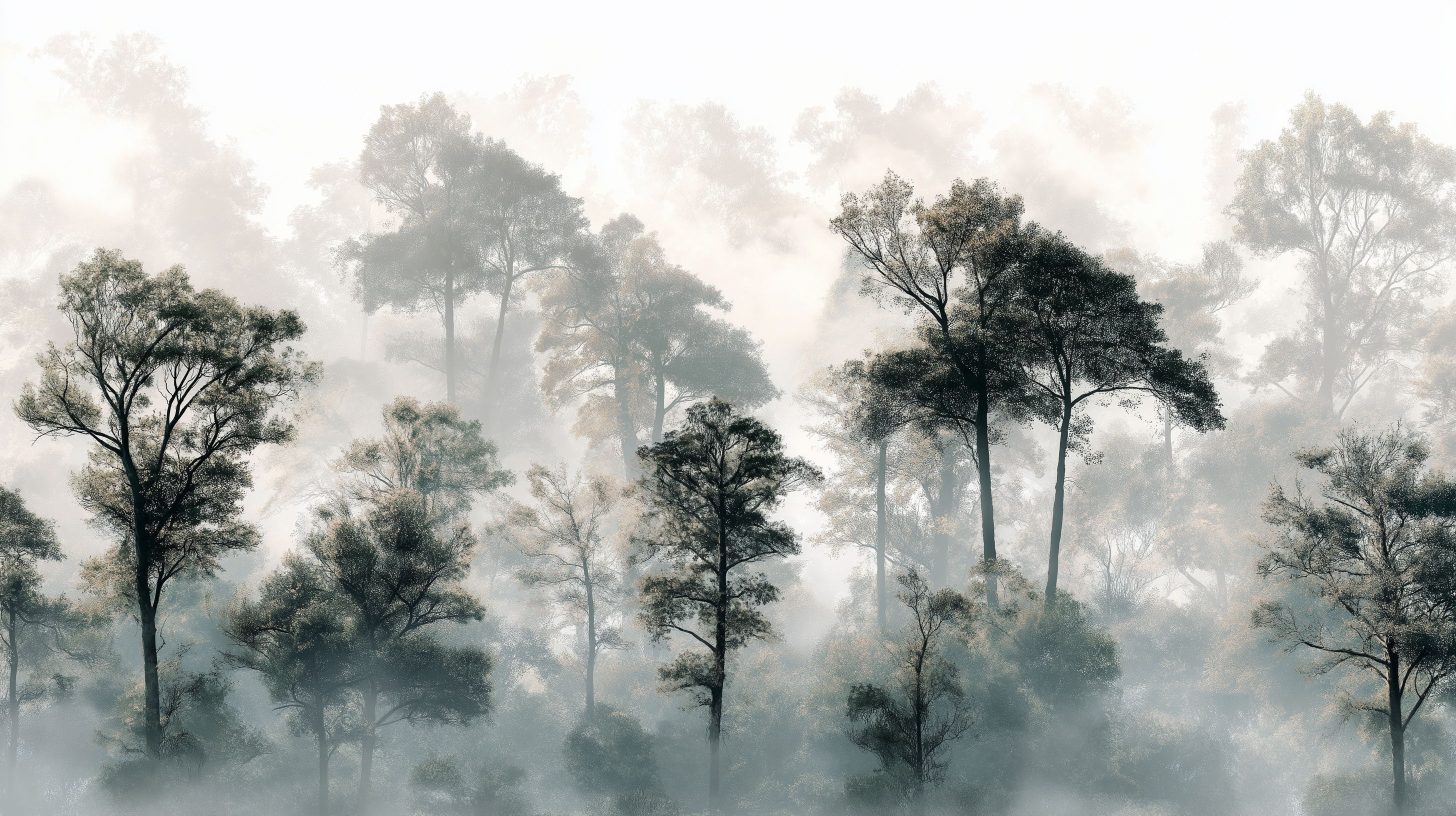 Quiet Canopy Wall Mural